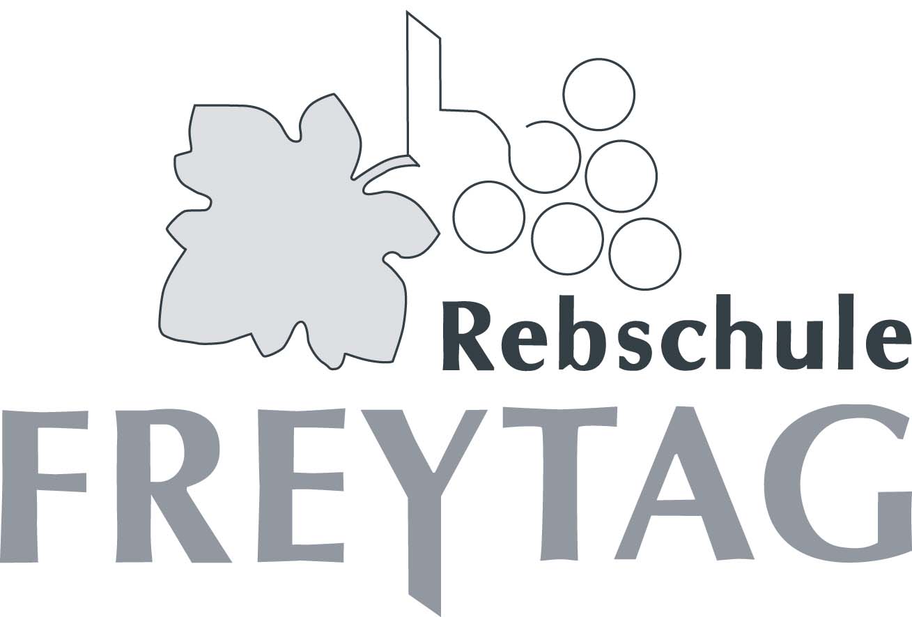Rebschule_Freytag